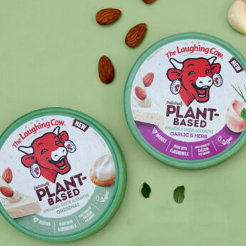 The Laughing Cow Plant-Based Original