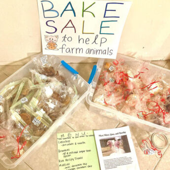 SOS Calabasas organizers Noelle and Tomer’s successful vegan bake sale in their community to raise funds for a local animal sanctuary