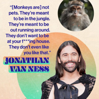 Jonathan Van Ness speaks out against owning monkeys as pets