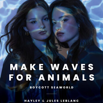 Jules and Hayley LeBlanc’s “Ghost SeaWorld” video urging people not to support the <em>abuse</em>ment park