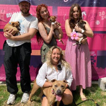 Chappell Roan visited an animal shelter on her tour stop in Richmond, Virginia.